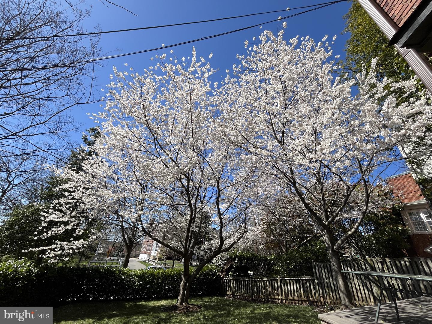 4452 Q ST NW, WASHINGTON, District Of Columbia 20007, 5 Bedrooms Bedrooms, ,2 BathroomsBathrooms,Residential,For sale,4452 Q ST NW,DCDC2232958 MLS # DCDC2232958