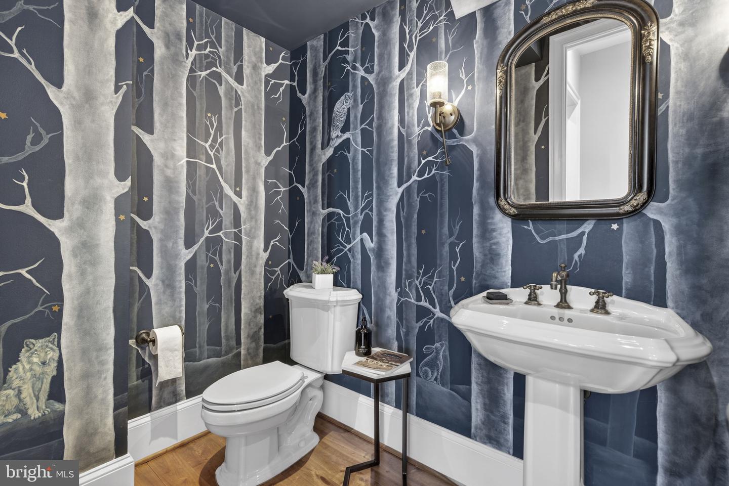 21051 ST LOUIS RD, MIDDLEBURG, Virginia 20117, 5 Bedrooms Bedrooms, ,5 BathroomsBathrooms,Residential,For sale,21051 ST LOUIS RD,VALO2114338 MLS # VALO2114338