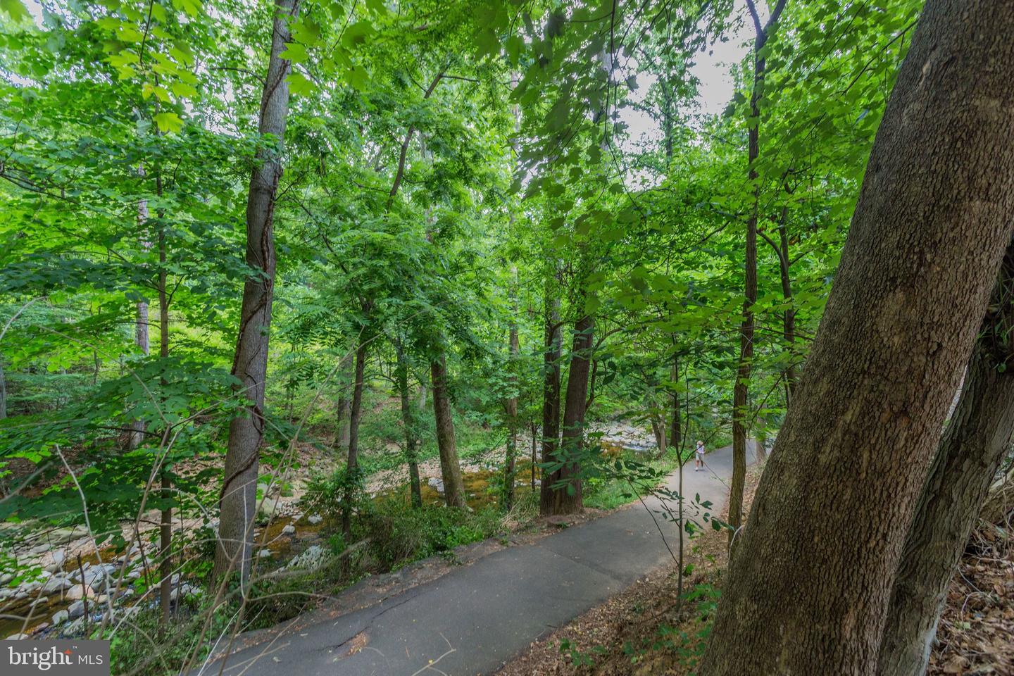 700 S ARLINGTON MILL DR #15204, ARLINGTON, Virginia 22204, 2 Bedrooms Bedrooms, ,1 BathroomBathrooms,Residential,For sale,700 S ARLINGTON MILL DR #15204,VAAR2068148 MLS # VAAR2068148 700 S ARLINGTON MILL DR #15204, ARLINGTON, Virginia 22204, 2 Bedrooms Bedrooms, ,1 BathroomBathrooms,Residential,For sale,700 S ARLINGTON MILL DR #15204,VAAR2068148 MLS # VAAR2068148