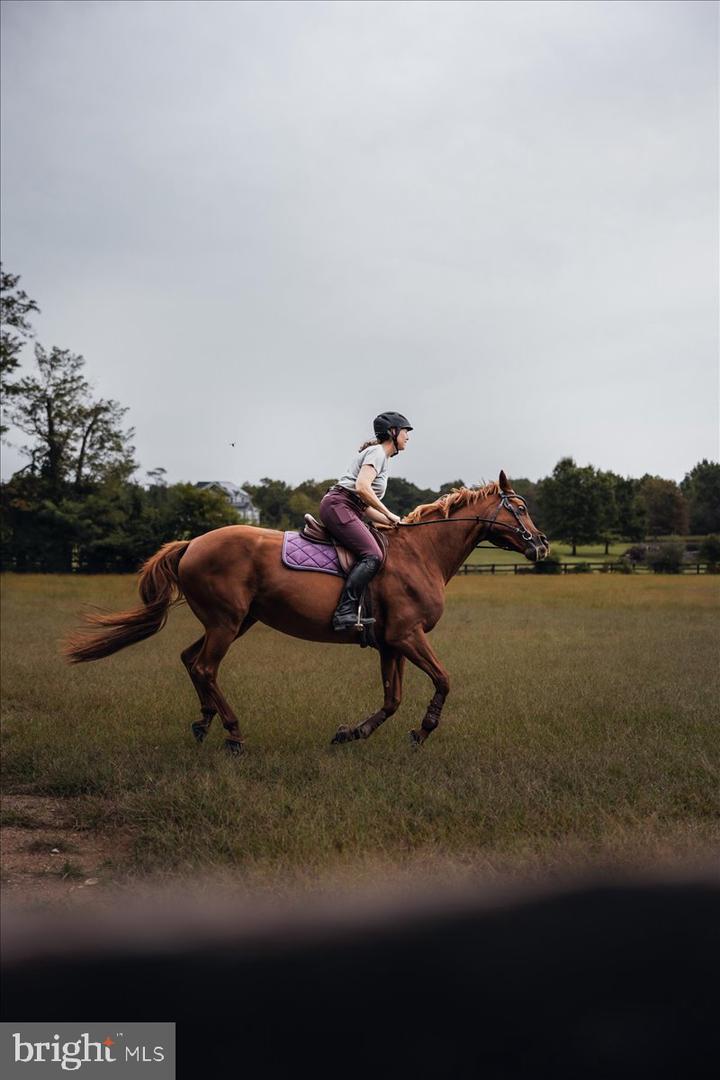 19606 RIDGESIDE RD, BLUEMONT, Virginia 20135, 6 Bedrooms Bedrooms, ,3 BathroomsBathrooms,Residential,For sale,19606 RIDGESIDE RD,VALO2115076 MLS # VALO2115076