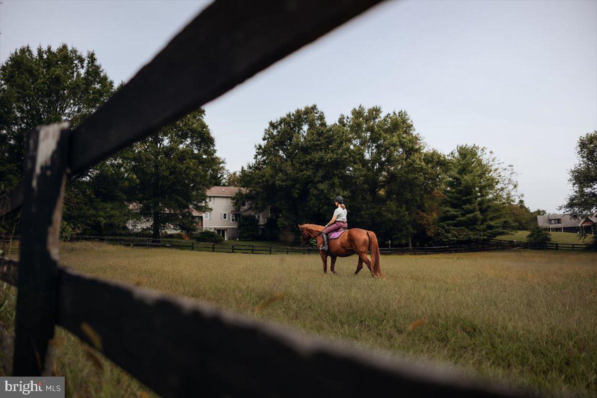 19606 RIDGESIDE RD, BLUEMONT, Virginia 20135, 6 Bedrooms Bedrooms, ,3 BathroomsBathrooms,Residential,For sale,19606 RIDGESIDE RD,VALO2115076 MLS # VALO2115076