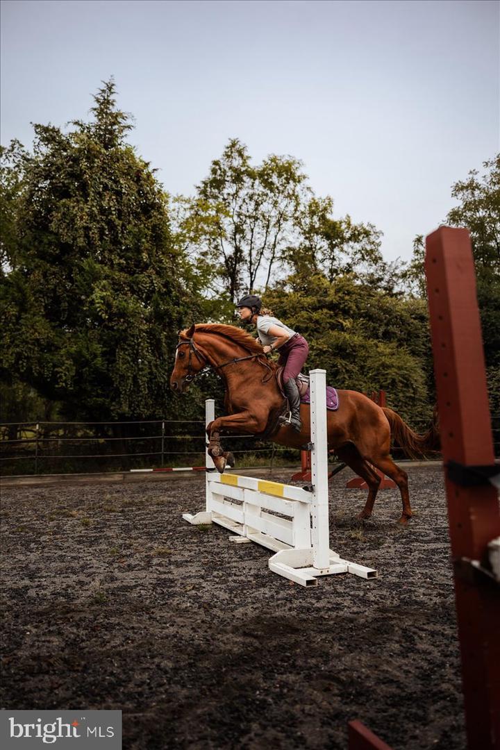 19606 RIDGESIDE RD, BLUEMONT, Virginia 20135, 6 Bedrooms Bedrooms, ,3 BathroomsBathrooms,Residential,For sale,19606 RIDGESIDE RD,VALO2115076 MLS # VALO2115076