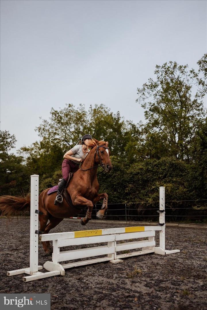 19606 RIDGESIDE RD, BLUEMONT, Virginia 20135, 6 Bedrooms Bedrooms, ,3 BathroomsBathrooms,Residential,For sale,19606 RIDGESIDE RD,VALO2115076 MLS # VALO2115076