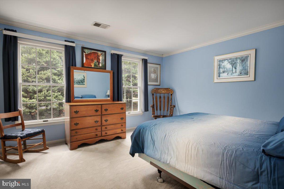 19606 RIDGESIDE RD, BLUEMONT, Virginia 20135, 6 Bedrooms Bedrooms, ,3 BathroomsBathrooms,Residential,For sale,19606 RIDGESIDE RD,VALO2115076 MLS # VALO2115076