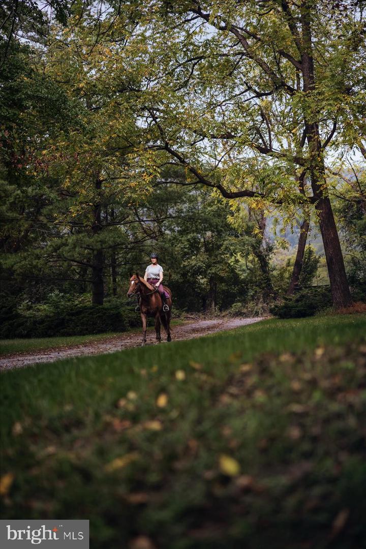 19606 RIDGESIDE RD, BLUEMONT, Virginia 20135, 6 Bedrooms Bedrooms, ,3 BathroomsBathrooms,Residential,For sale,19606 RIDGESIDE RD,VALO2115076 MLS # VALO2115076