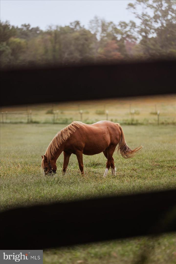 19606 RIDGESIDE RD, BLUEMONT, Virginia 20135, 6 Bedrooms Bedrooms, ,3 BathroomsBathrooms,Residential,For sale,19606 RIDGESIDE RD,VALO2115076 MLS # VALO2115076