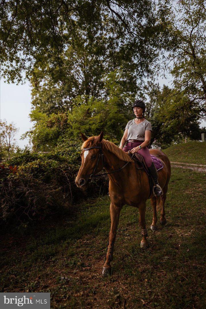 19606 RIDGESIDE RD, BLUEMONT, Virginia 20135, 6 Bedrooms Bedrooms, ,3 BathroomsBathrooms,Residential,For sale,19606 RIDGESIDE RD,VALO2115076 MLS # VALO2115076