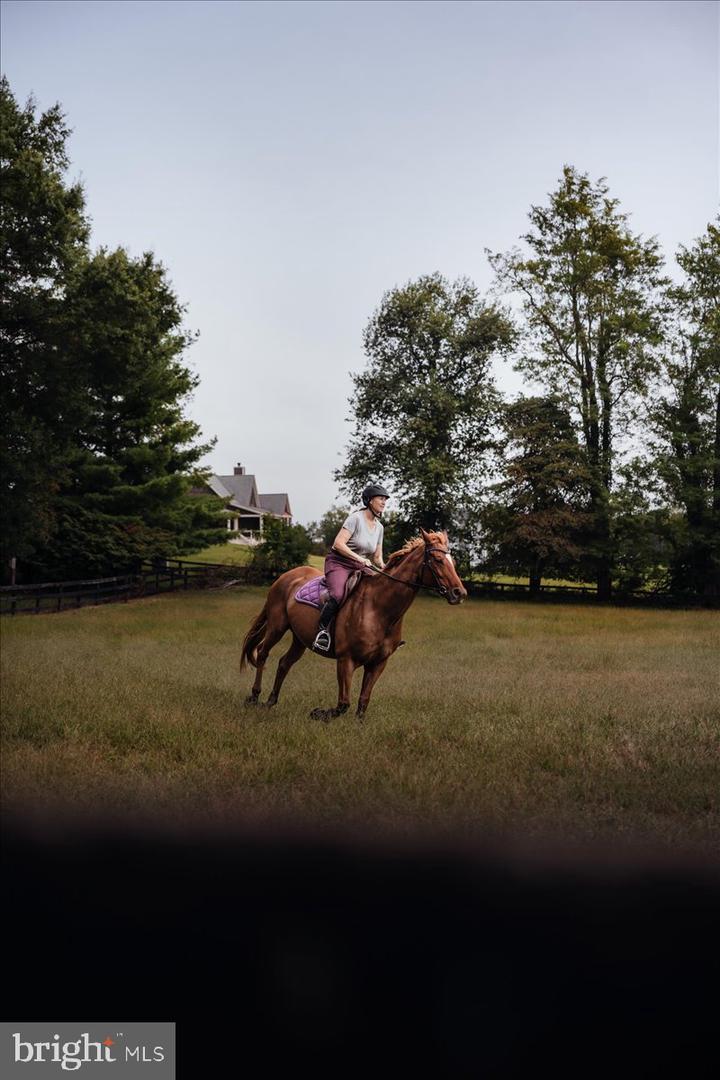 19606 RIDGESIDE RD, BLUEMONT, Virginia 20135, 6 Bedrooms Bedrooms, ,3 BathroomsBathrooms,Residential,For sale,19606 RIDGESIDE RD,VALO2115076 MLS # VALO2115076