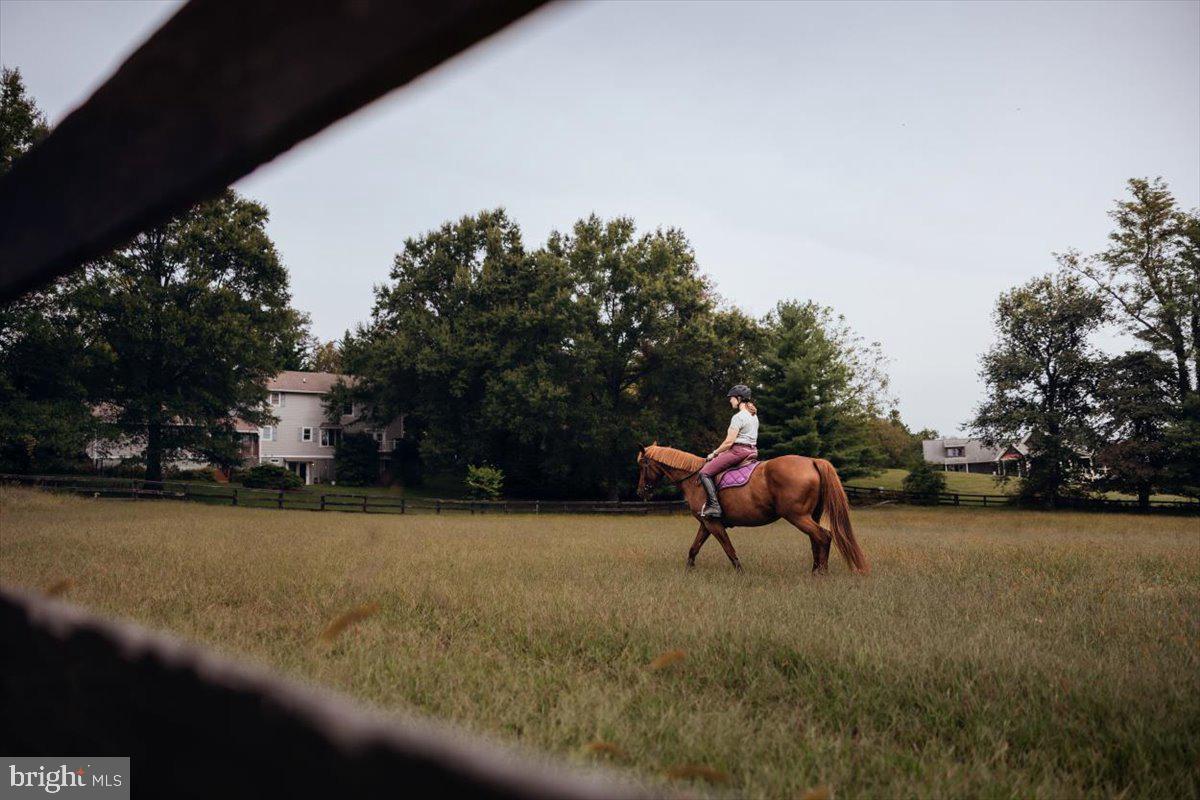 19606 RIDGESIDE RD, BLUEMONT, Virginia 20135, 6 Bedrooms Bedrooms, ,3 BathroomsBathrooms,Residential,For sale,19606 RIDGESIDE RD,VALO2115076 MLS # VALO2115076