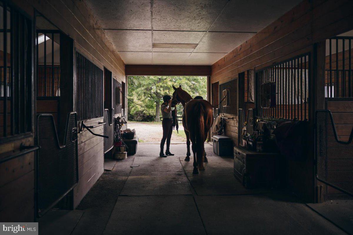 19606 RIDGESIDE RD, BLUEMONT, Virginia 20135, 6 Bedrooms Bedrooms, ,3 BathroomsBathrooms,Residential,For sale,19606 RIDGESIDE RD,VALO2115076 MLS # VALO2115076