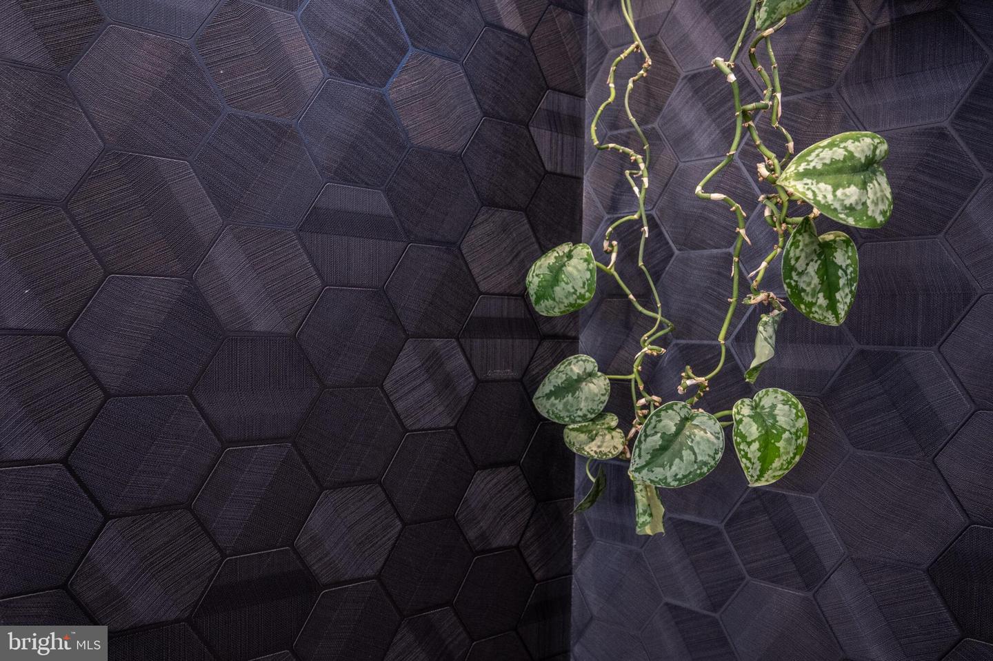 1444 OGDEN ST NW #302, WASHINGTON, District Of Columbia 20010, 2 Bedrooms Bedrooms, ,2 BathroomsBathrooms,Residential,For sale,1444 OGDEN ST NW #302,DCDC2244394 MLS # DCDC2244394