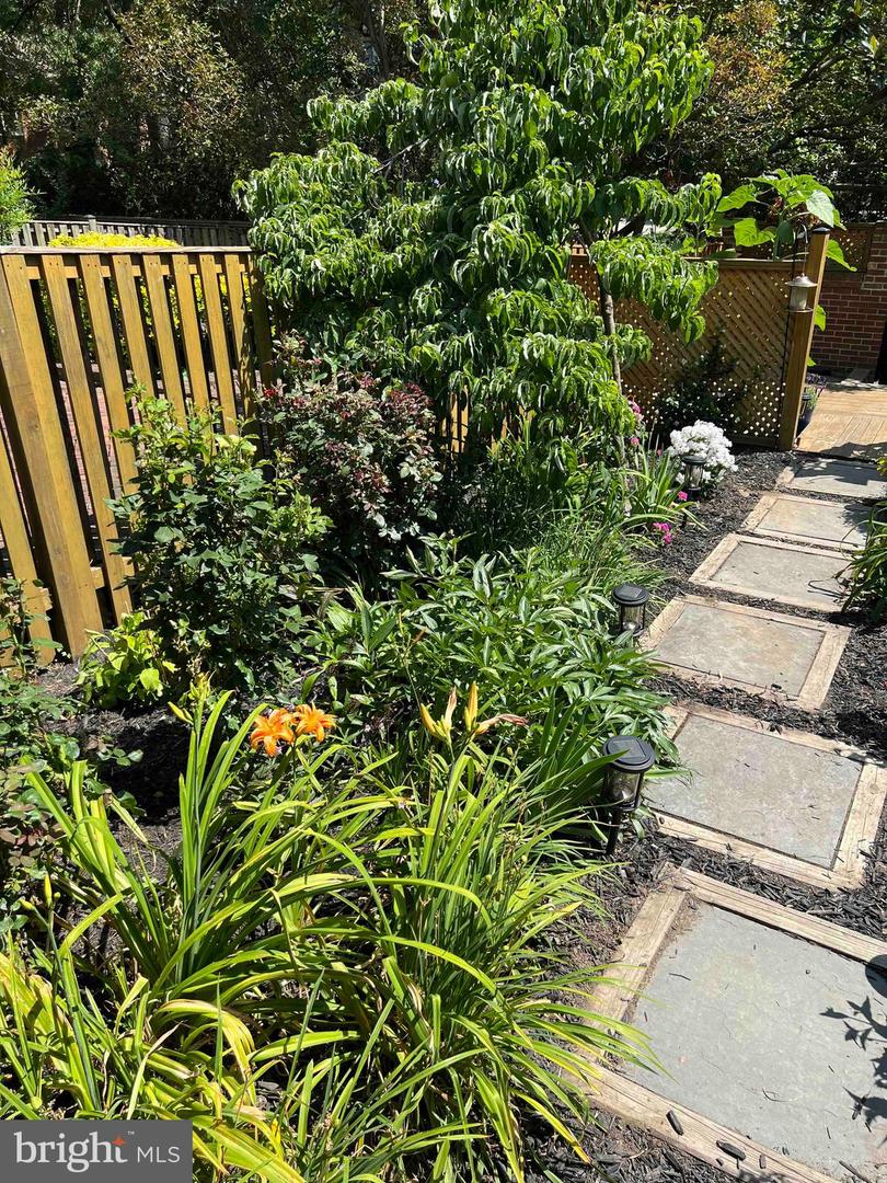 818 WOLFE ST, ALEXANDRIA, Virginia 22314, 3 Bedrooms Bedrooms, ,1 BathroomBathrooms,Residential,For sale,818 WOLFE ST,VAAX2053776 MLS # VAAX2053776