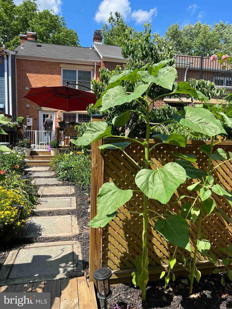 818 WOLFE ST, ALEXANDRIA, Virginia 22314, 3 Bedrooms Bedrooms, ,1 BathroomBathrooms,Residential,For sale,818 WOLFE ST,VAAX2053776 MLS # VAAX2053776