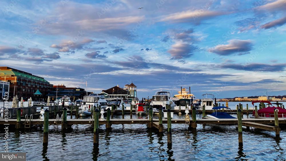 818 WOLFE ST, ALEXANDRIA, Virginia 22314, 3 Bedrooms Bedrooms, ,1 BathroomBathrooms,Residential,For sale,818 WOLFE ST,VAAX2053776 MLS # VAAX2053776