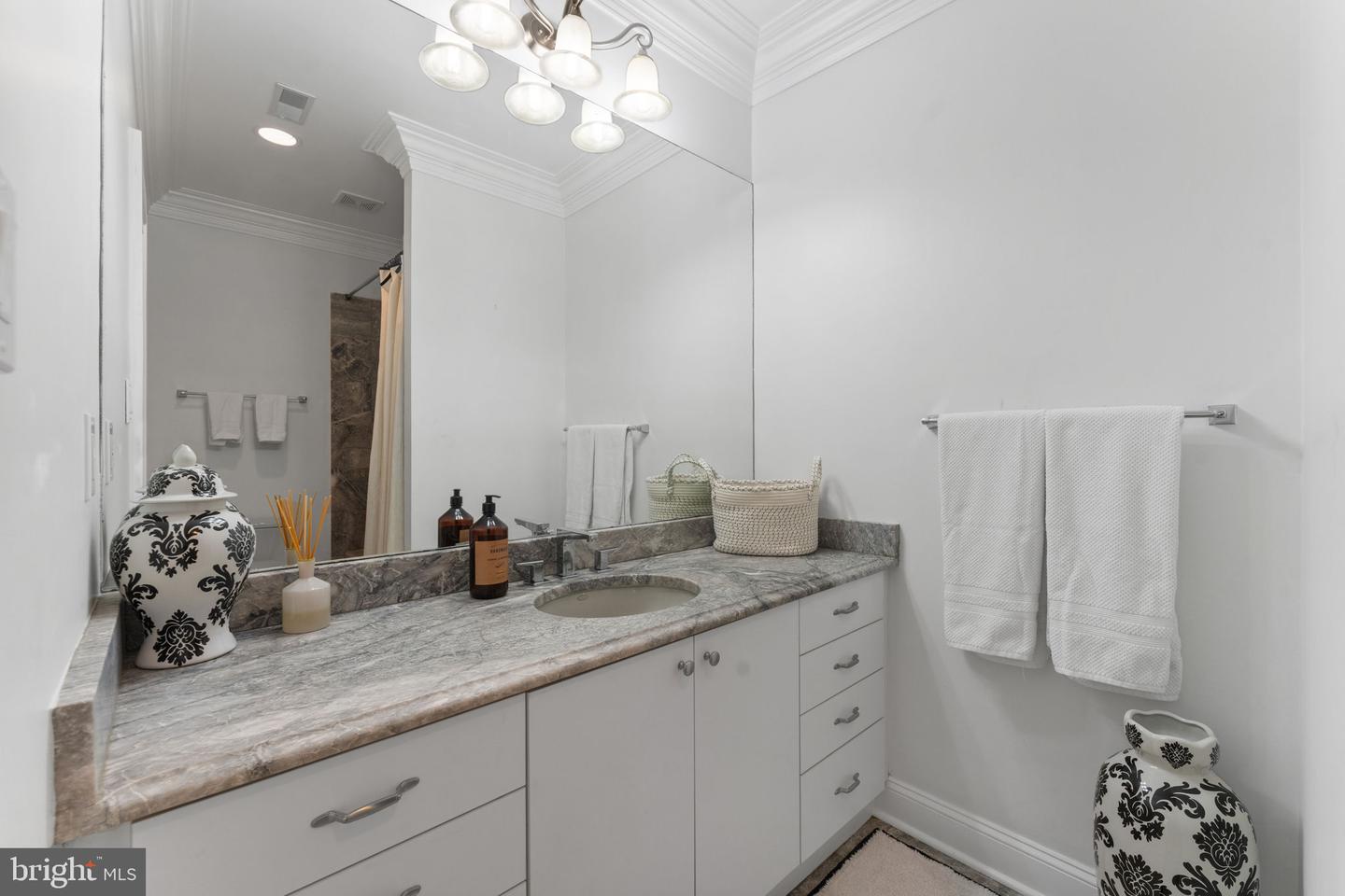 9500 GEORGETOWN PIKE, GREAT FALLS, Virginia 22066, 6 Bedrooms Bedrooms, ,7 BathroomsBathrooms,Residential,For sale,9500 GEORGETOWN PIKE,VAFX2289016 MLS # VAFX2289016