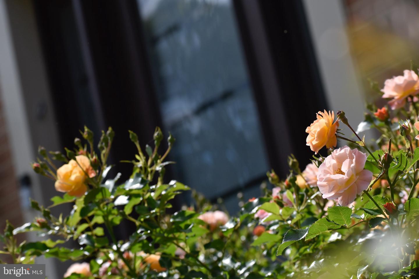 5408 HEATHERFORD CT, FAIRFAX, Virginia 22030, 4 Bedrooms Bedrooms, ,3 BathroomsBathrooms,Residential,For sale,5408 HEATHERFORD CT,VAFX2289490 MLS # VAFX2289490