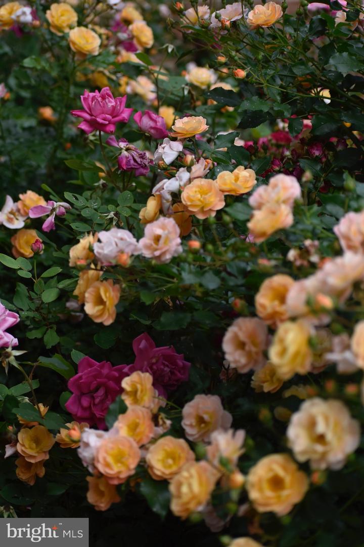 5408 HEATHERFORD CT, FAIRFAX, Virginia 22030, 4 Bedrooms Bedrooms, ,3 BathroomsBathrooms,Residential,For sale,5408 HEATHERFORD CT,VAFX2289490 MLS # VAFX2289490