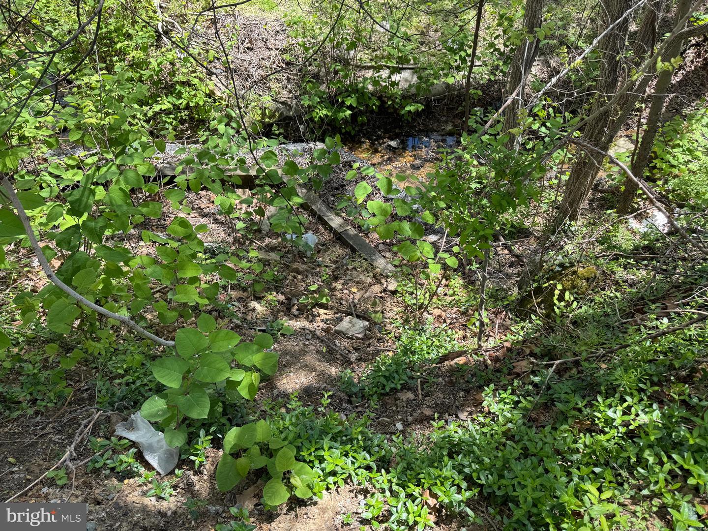 241 & 243 CAMBRIDGE ST, FREDERICKSBURG, Virginia 22405, 6 Bedrooms Bedrooms, ,3 BathroomsBathrooms,Residential,For sale,241 & 243 CAMBRIDGE ST,VAST2045936 MLS # VAST2045936