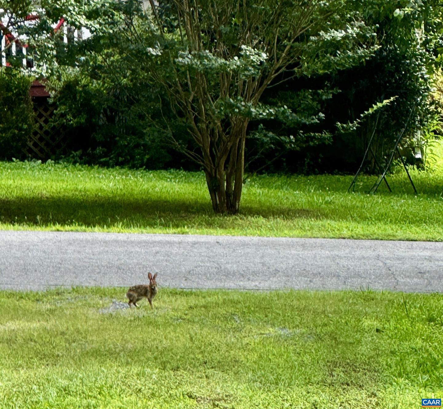 10 LOBLOLLY RD, PALMYRA, Virginia 22963, 3 Bedrooms Bedrooms, ,2 BathroomsBathrooms,Residential,For sale,10 LOBLOLLY RD,673144 MLS # 673144