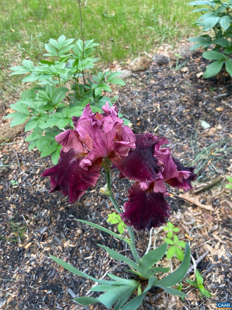 1211 LANETOWN RD, CROZET, Virginia 22932, 3 Bedrooms Bedrooms, ,2 BathroomsBathrooms,Residential,For sale,1211 LANETOWN RD,673184 MLS # 673184