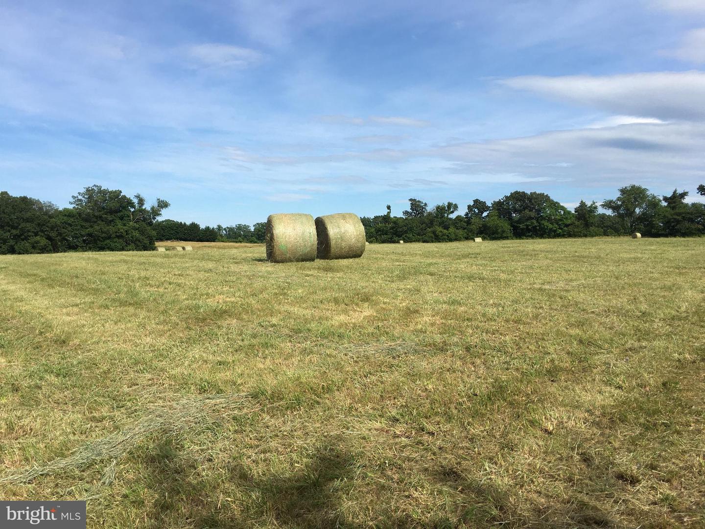 11175 MARQUIS RD, UNIONVILLE, Virginia 22567, ,Land,For sale,11175 MARQUIS RD,VAOR2013282 MLS # VAOR2013282