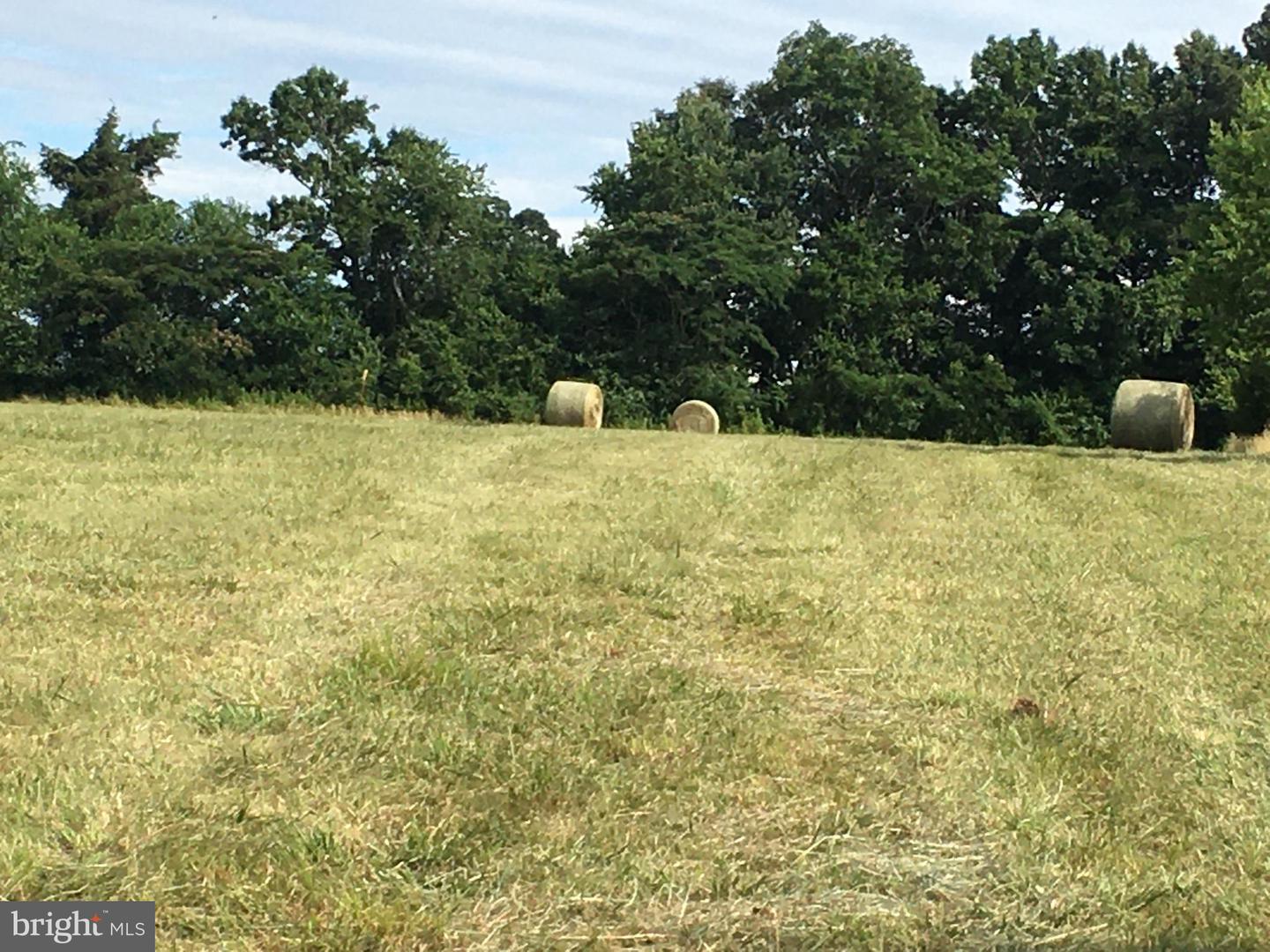 11175 MARQUIS RD, UNIONVILLE, Virginia 22567, ,Land,For sale,11175 MARQUIS RD,VAOR2013282 MLS # VAOR2013282