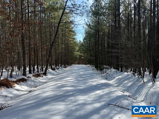 REDBIRD LN, GLADSTONE, Virginia 24553, ,Farm,For sale,REDBIRD LN,673203 MLS # 673203