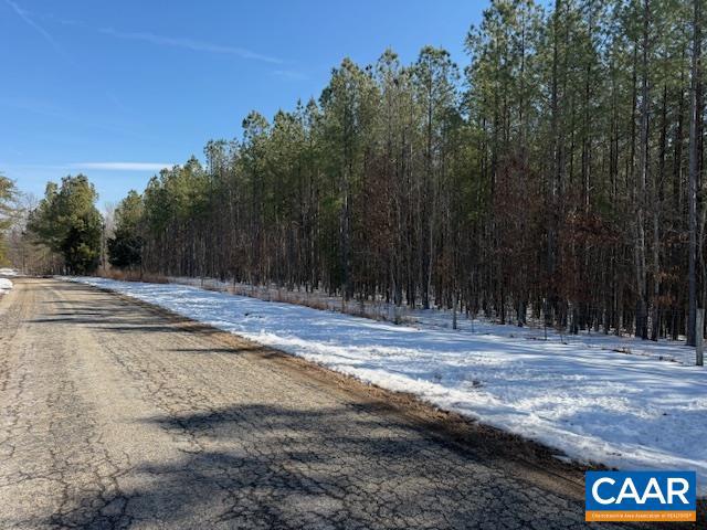 REDBIRD LN, GLADSTONE, Virginia 24553, ,Farm,For sale,REDBIRD LN,673203 MLS # 673203