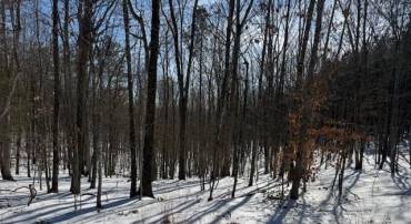 REDBIRD DR, GLADSTONE, Virginia 24553, ,Farm,For sale,REDBIRD DR,673203 MLS # 673203