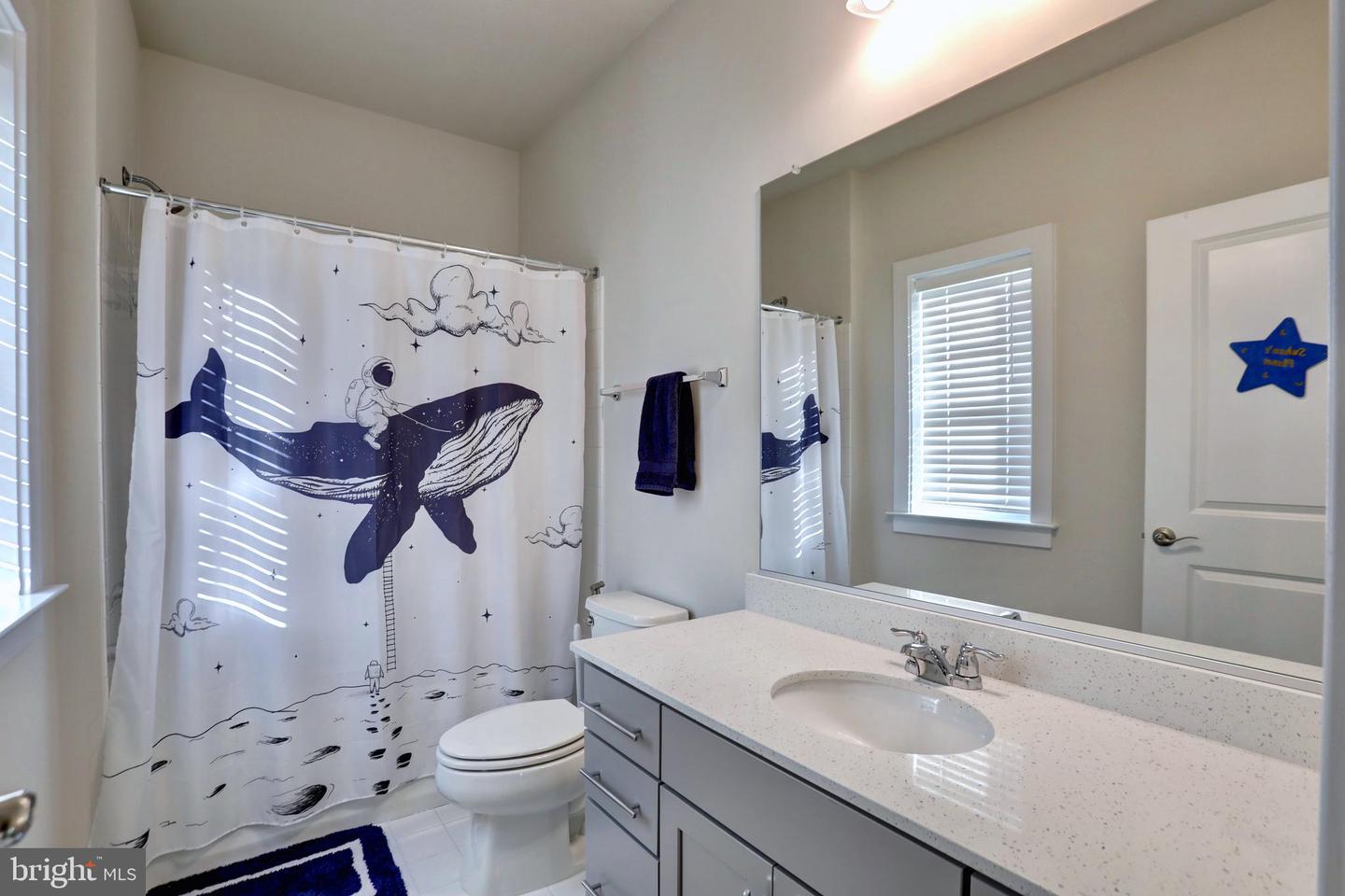 24289 GRAYLEAF WILLOW PL, ALDIE, Virginia 20105, 6 Bedrooms Bedrooms, ,5 BathroomsBathrooms,Residential,For sale,24289 GRAYLEAF WILLOW PL,VALO2110444 MLS # VALO2110444