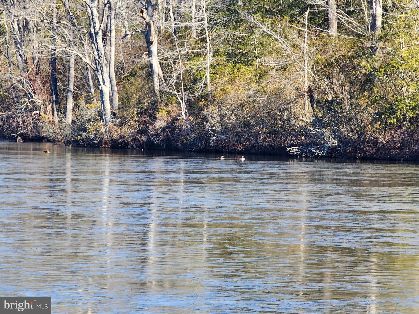 630 LAKE VIEW TER, WARSAW, Virginia 22572, 3 Bedrooms Bedrooms, 6 Rooms Rooms,2 BathroomsBathrooms,Residential,For sale,630 LAKE VIEW TER,VARV2000584 MLS # VARV2000584