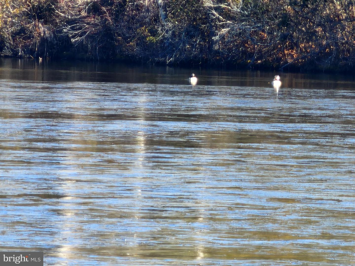 630 LAKE VIEW TER, WARSAW, Virginia 22572, 3 Bedrooms Bedrooms, 6 Rooms Rooms,2 BathroomsBathrooms,Residential,For sale,630 LAKE VIEW TER,VARV2000584 MLS # VARV2000584