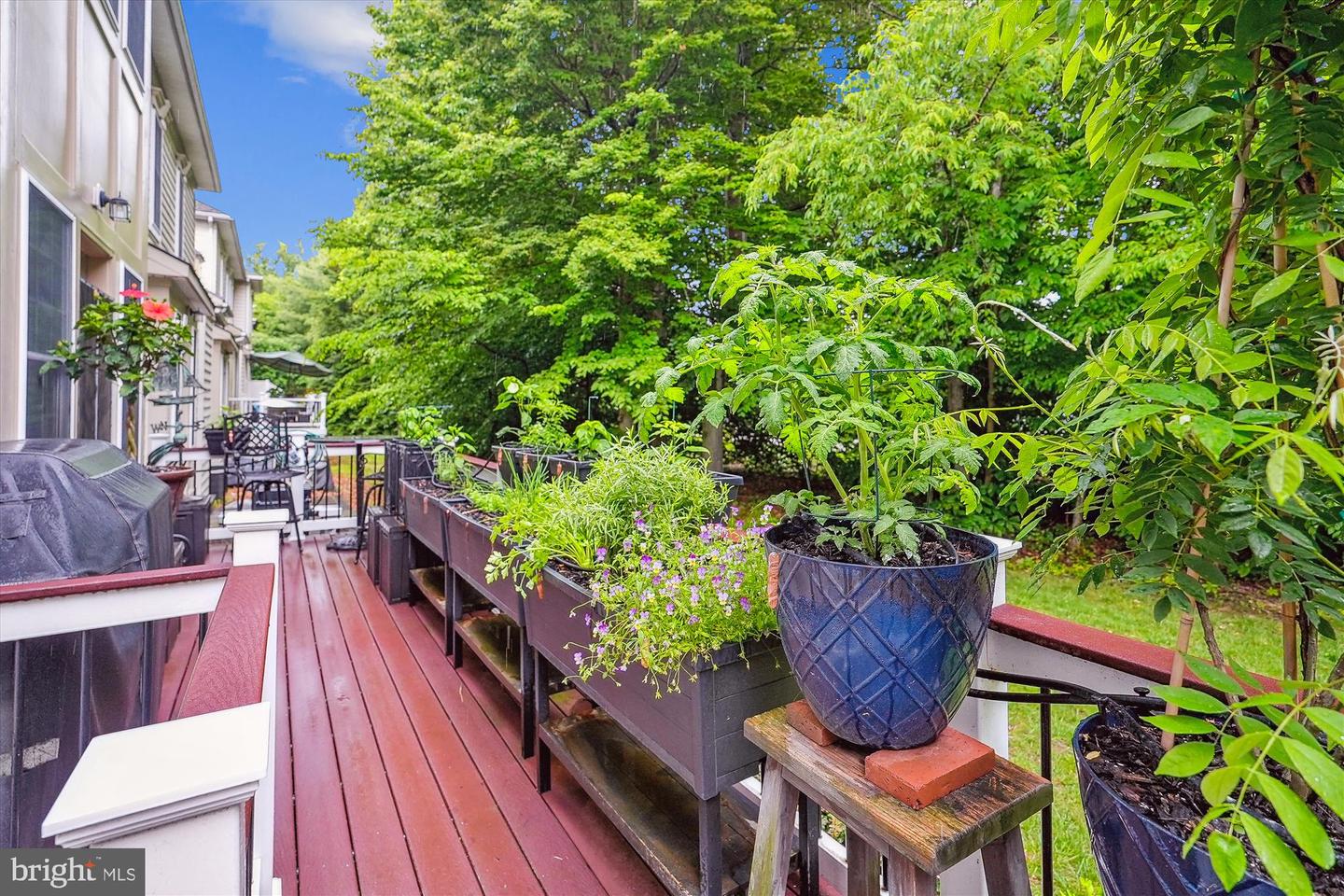 47666 PAULSEN SQ, POTOMAC FALLS, Virginia 20165, 3 Bedrooms Bedrooms, ,3 BathroomsBathrooms,Residential,For sale,47666 PAULSEN SQ,VALO2113506 MLS # VALO2113506