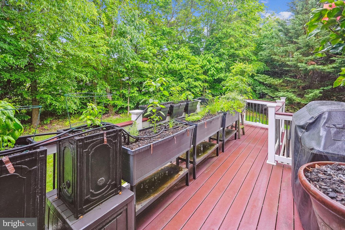 47666 PAULSEN SQ, POTOMAC FALLS, Virginia 20165, 3 Bedrooms Bedrooms, ,3 BathroomsBathrooms,Residential,For sale,47666 PAULSEN SQ,VALO2113506 MLS # VALO2113506