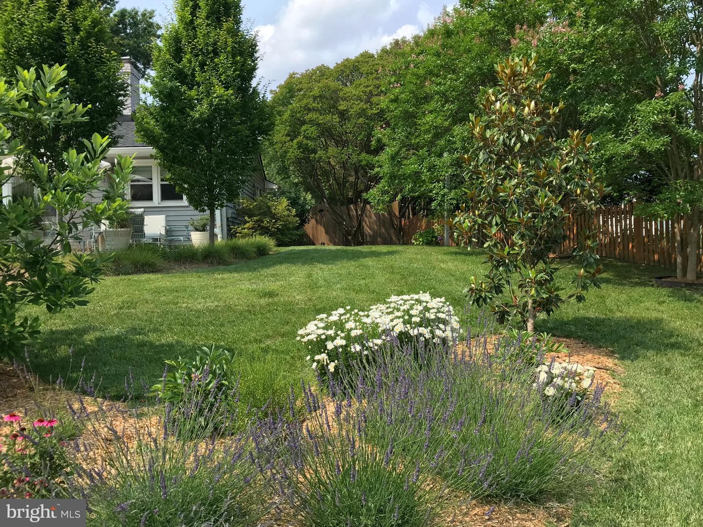 8304 LILAC LN, ALEXANDRIA, Virginia 22308, 3 Bedrooms Bedrooms, 12 Rooms Rooms,2 BathroomsBathrooms,Residential,For sale,8304 LILAC LN,VAFX2285484 MLS # VAFX2285484