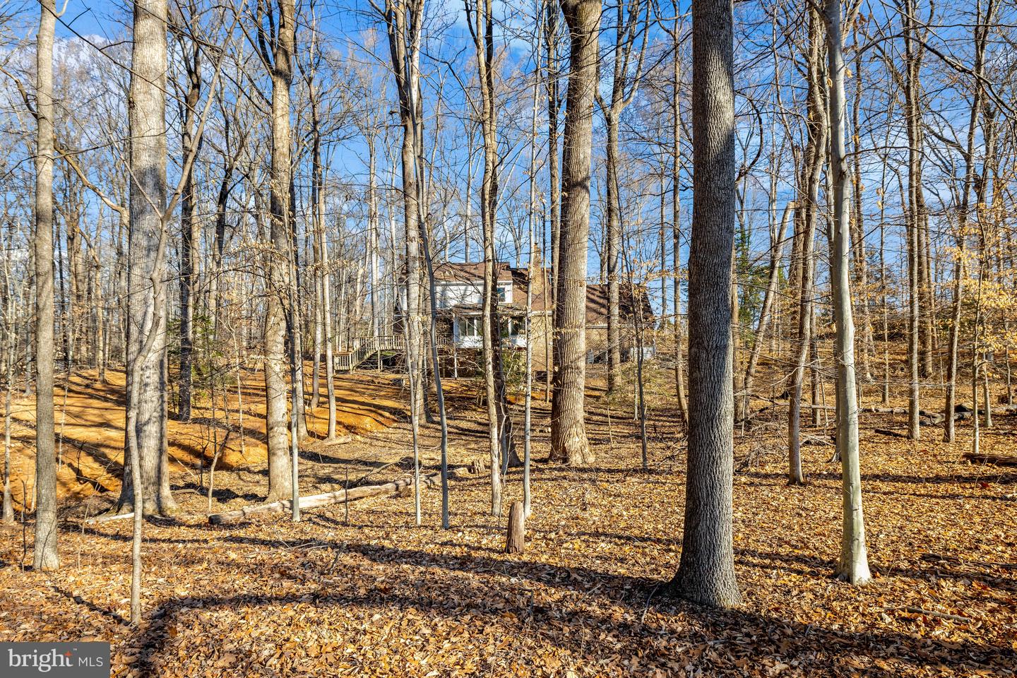 9982 BLACKBERRY LN, GREAT FALLS, Virginia 22066, 4 Bedrooms Bedrooms, ,3 BathroomsBathrooms,Residential,For sale,9982 BLACKBERRY LN,VAFX2286222 MLS # VAFX2286222