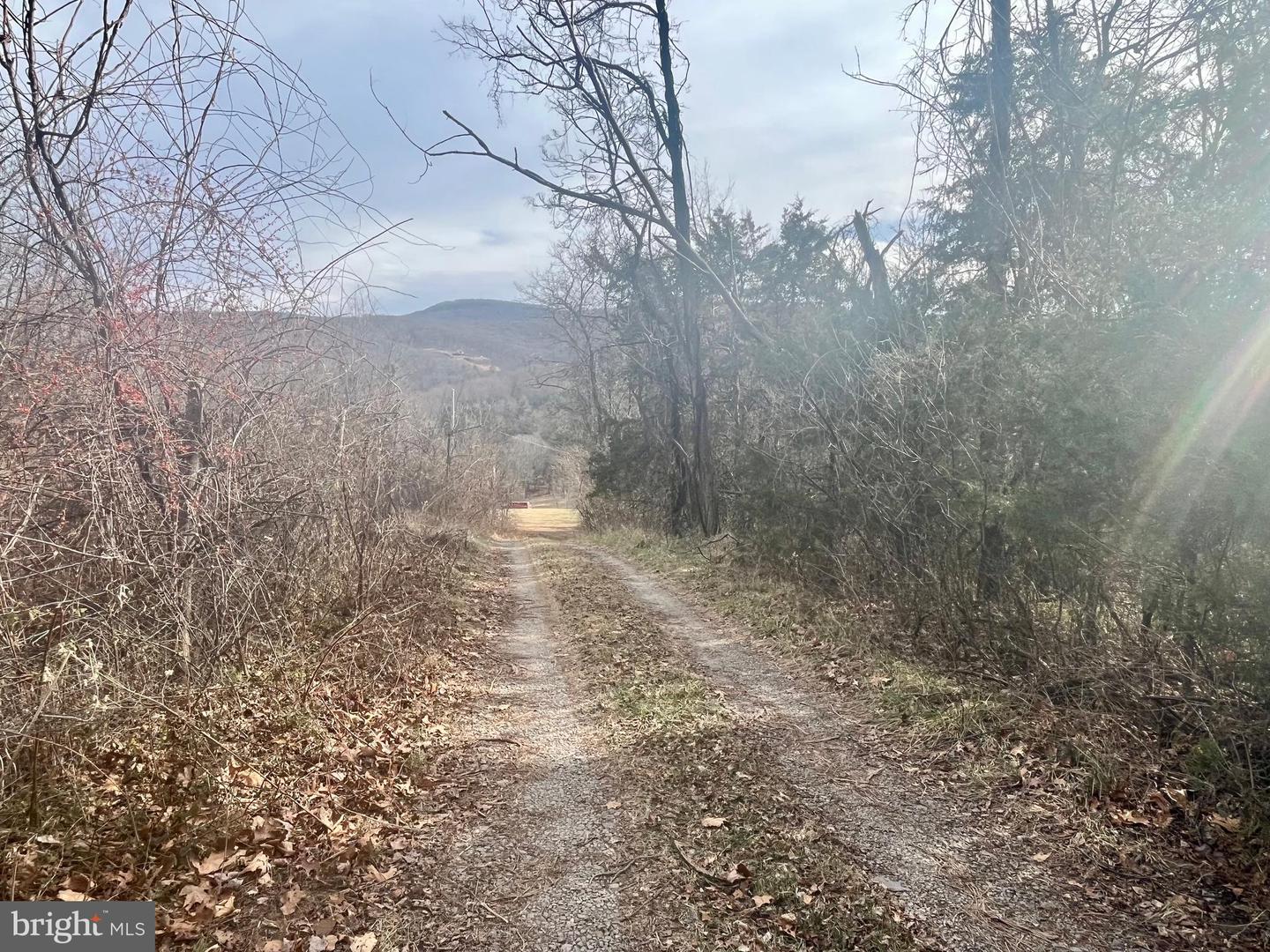 305 RICKARD PL, RILEYVILLE, Virginia 22650, 2 Bedrooms Bedrooms, ,1 BathroomBathrooms,Residential,For sale,305 RICKARD PL,VAPA2005922 MLS # VAPA2005922 305 RICKARD PL, RILEYVILLE, Virginia 22650, 2 Bedrooms Bedrooms, ,1 BathroomBathrooms,Residential,For sale,305 RICKARD PL,VAPA2005922 MLS # VAPA2005922