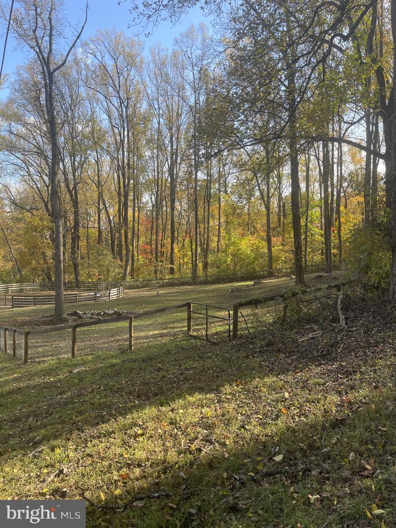 LOVETTSVILLE, Virginia 20180, 2 Bedrooms Bedrooms, ,1 BathroomBathrooms,Residential,For sale,VALO2114948 MLS # VALO2114948