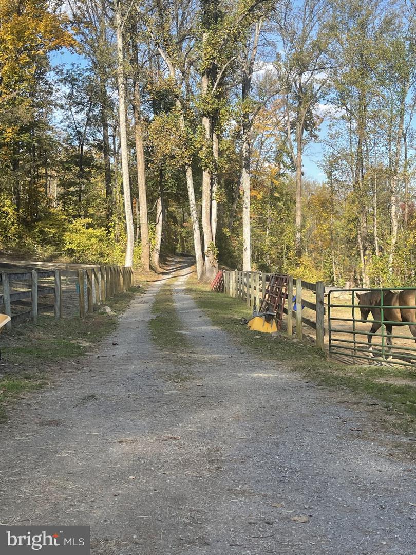 LOVETTSVILLE, Virginia 20180, 2 Bedrooms Bedrooms, ,1 BathroomBathrooms,Residential,For sale,VALO2114948 MLS # VALO2114948