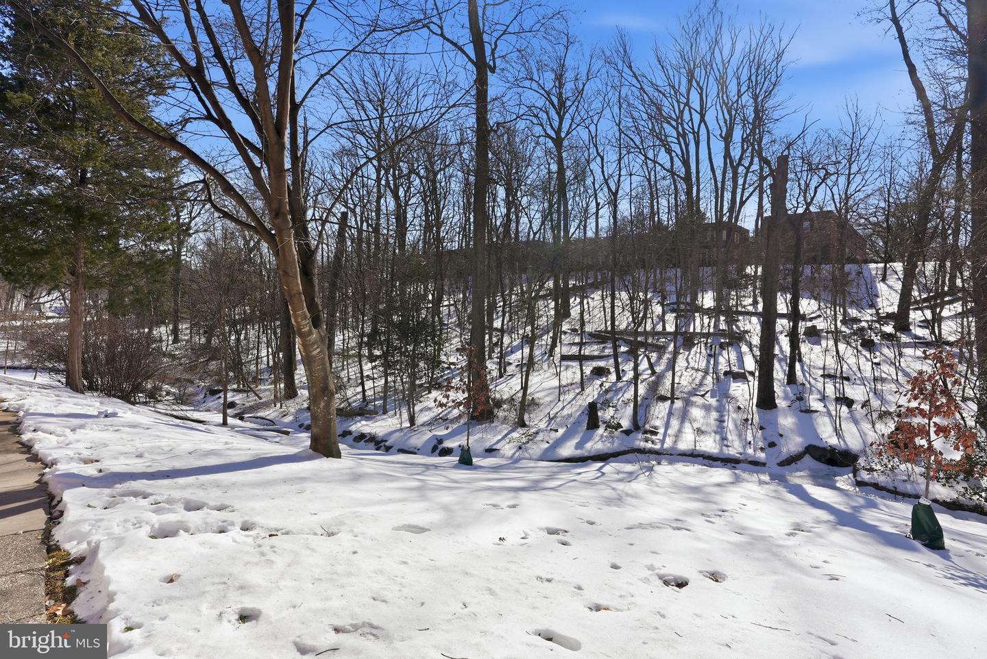 1414 S BARTON ST S #453, ARLINGTON, Virginia 22204, 1 Bedroom Bedrooms, ,1 BathroomBathrooms,Residential,For sale,1414 S BARTON ST S #453,VAAR2068302 MLS # VAAR2068302