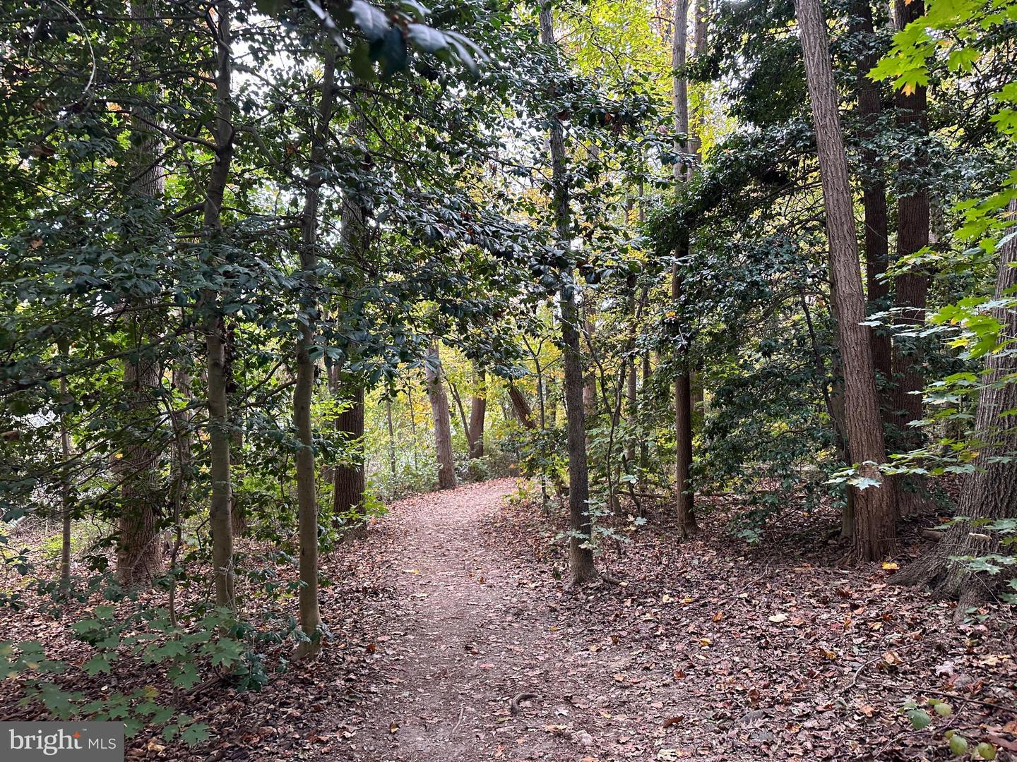 10215 COMMONWEALTH BLVD, FAIRFAX, Virginia 22032, 4 Bedrooms Bedrooms, 16 Rooms Rooms,4 BathroomsBathrooms,Residential,For sale,10215 COMMONWEALTH BLVD,VAFX2288518 MLS # VAFX2288518