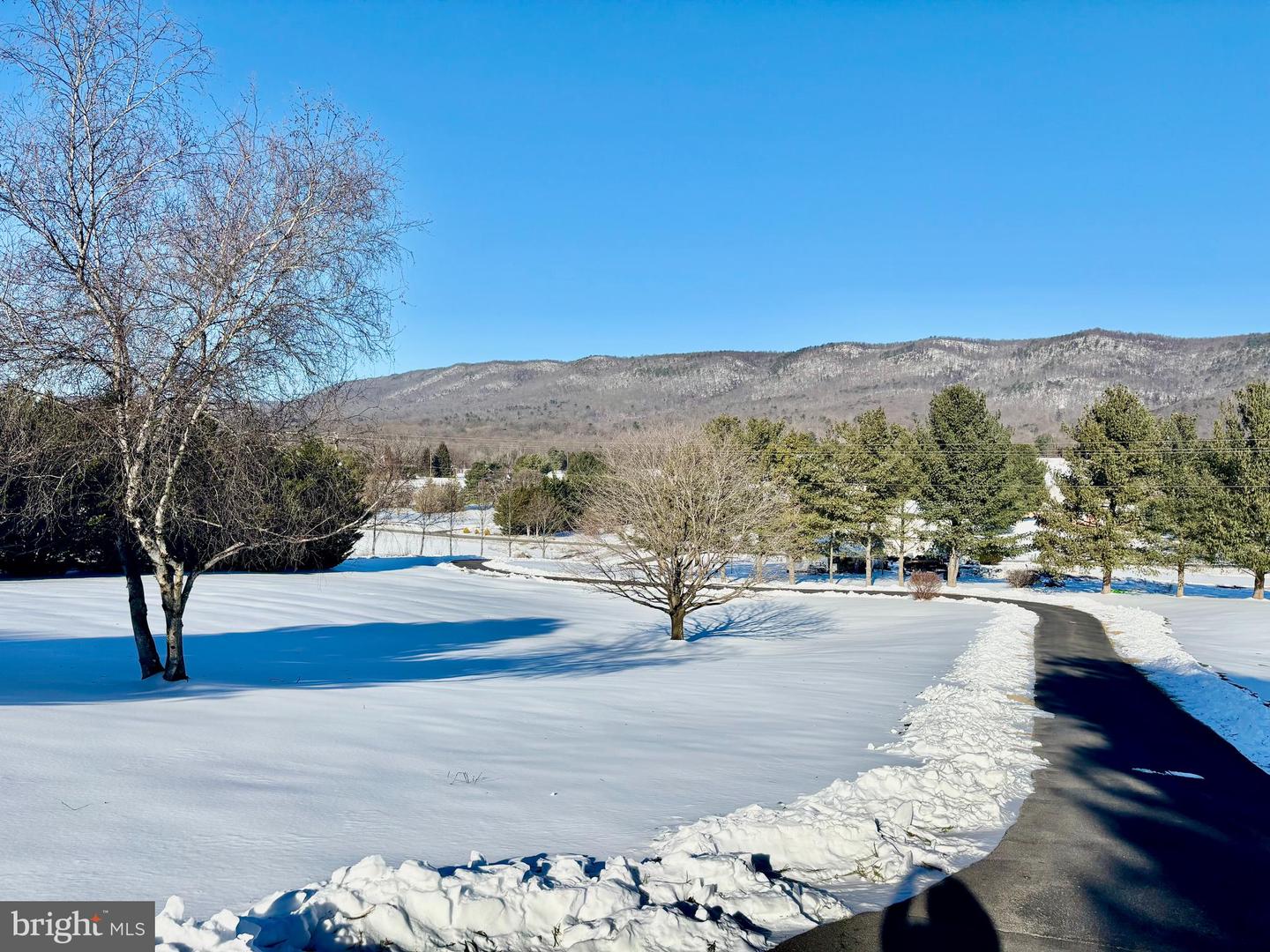 8284 BACK RD, MAURERTOWN, Virginia 22644, 3 Bedrooms Bedrooms, ,2 BathroomsBathrooms,Residential,For sale,8284 BACK RD,VASH2013506 MLS # VASH2013506