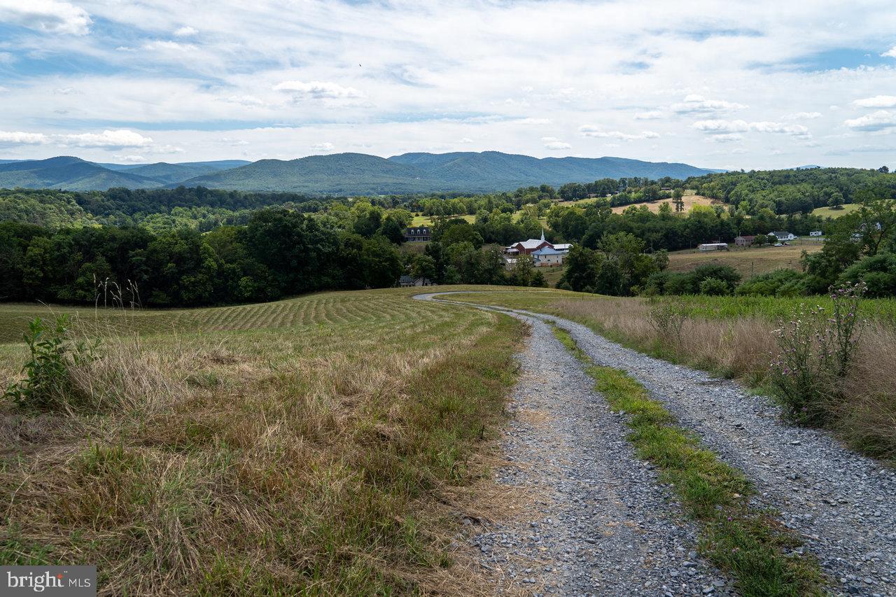 8 GALLOWAY SPRING LANE, SHENANDOAH, Virginia 22849, ,Land,For sale,8 GALLOWAY SPRING LANE,VAPA2006016 MLS # VAPA2006016