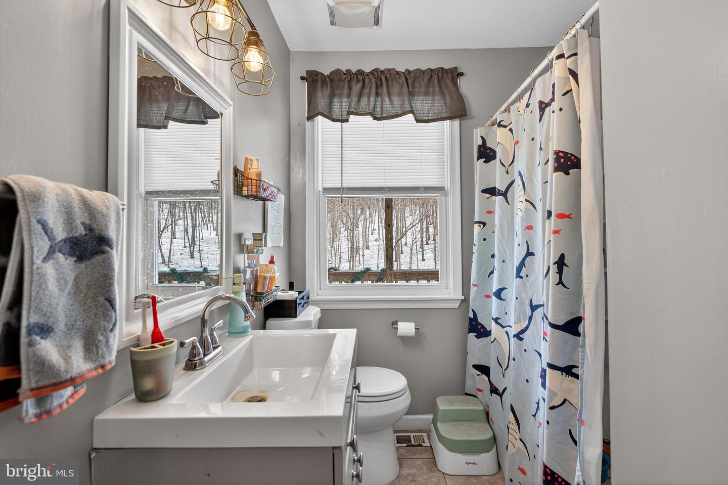 1238 LOGGER DR, GORE, Virginia 22637, 4 Bedrooms Bedrooms, ,2 BathroomsBathrooms,Residential,For sale,1238 LOGGER DR,VAFV2039522 MLS # VAFV2039522