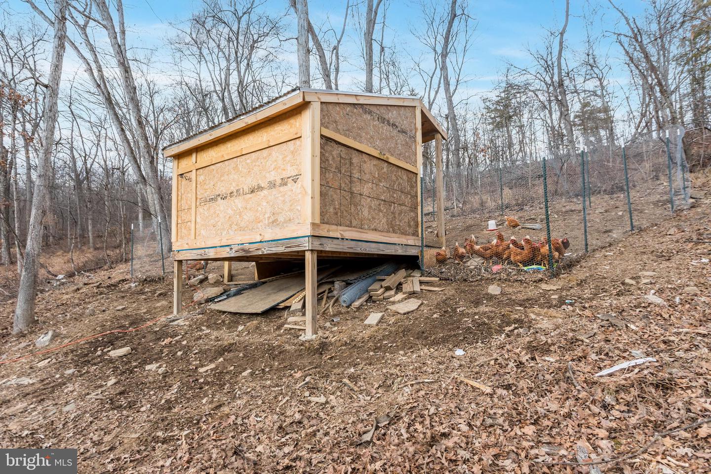 1238 LOGGER DR, GORE, Virginia 22637, 4 Bedrooms Bedrooms, ,2 BathroomsBathrooms,Residential,For sale,1238 LOGGER DR,VAFV2039522 MLS # VAFV2039522 1238 LOGGER DR, GORE, Virginia 22637, 4 Bedrooms Bedrooms, ,2 BathroomsBathrooms,Residential,For sale,1238 LOGGER DR,VAFV2039522 MLS # VAFV2039522