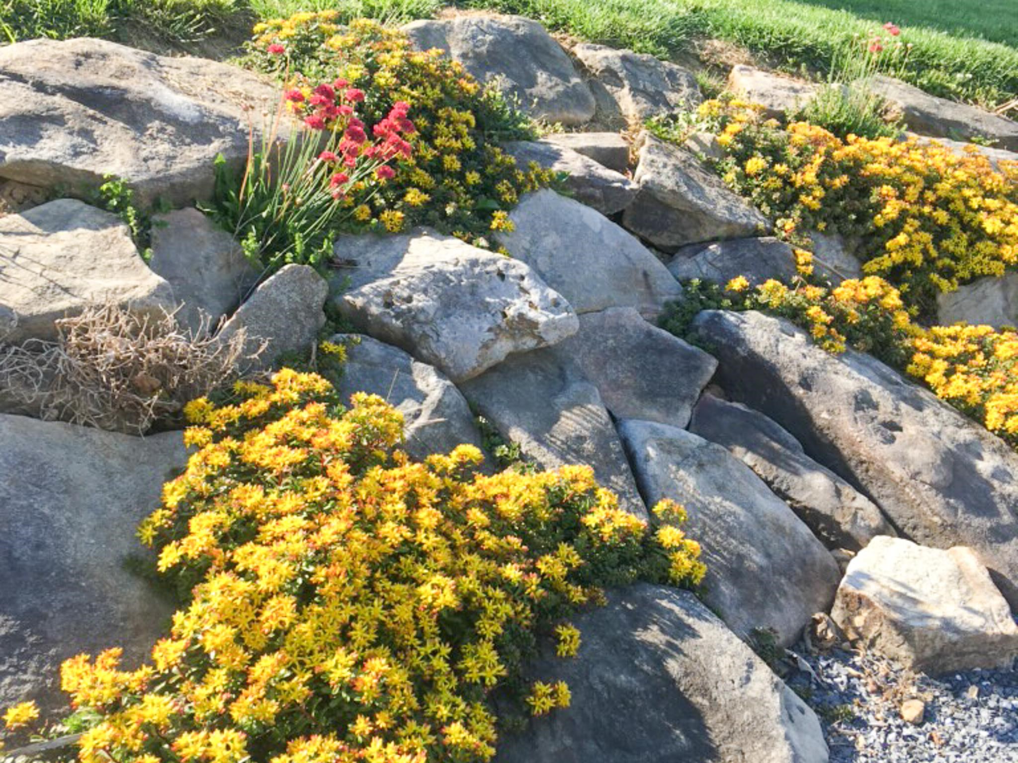 3113 WINDY HEIGHTS LN, ROCKINGHAM, Virginia 22802, 3 Bedrooms Bedrooms, ,1 BathroomBathrooms,Residential,3113 WINDY HEIGHTS LN,673056 MLS # 673056