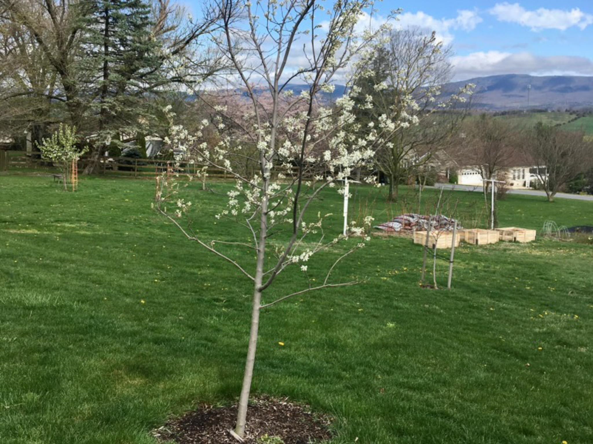 3113 WINDY HEIGHTS LN, ROCKINGHAM, Virginia 22802, 3 Bedrooms Bedrooms, ,1 BathroomBathrooms,Residential,3113 WINDY HEIGHTS LN,673056 MLS # 673056