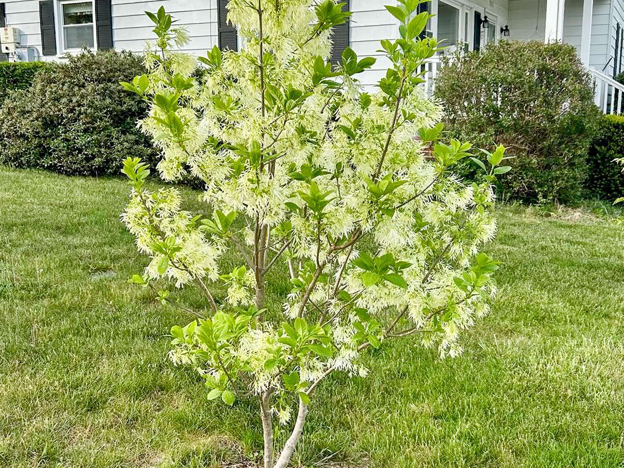 3113 WINDY HEIGHTS LN, ROCKINGHAM, Virginia 22802, 3 Bedrooms Bedrooms, ,1 BathroomBathrooms,Residential,3113 WINDY HEIGHTS LN,673056 MLS # 673056