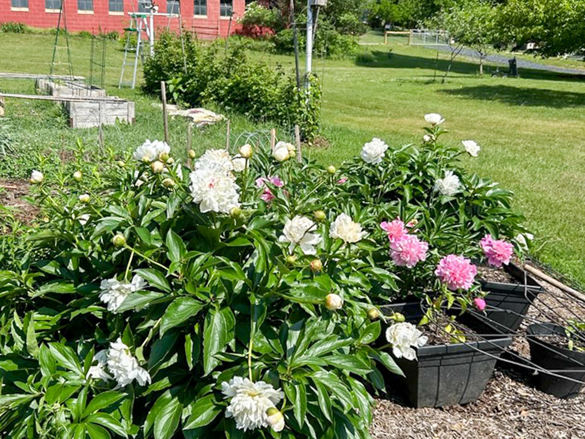 3113 WINDY HEIGHTS LN, ROCKINGHAM, Virginia 22802, 3 Bedrooms Bedrooms, ,1 BathroomBathrooms,Residential,3113 WINDY HEIGHTS LN,673056 MLS # 673056