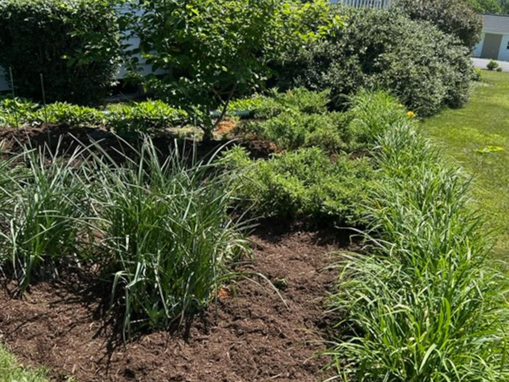 3113 WINDY HEIGHTS LN, ROCKINGHAM, Virginia 22802, 3 Bedrooms Bedrooms, ,1 BathroomBathrooms,Residential,3113 WINDY HEIGHTS LN,673056 MLS # 673056